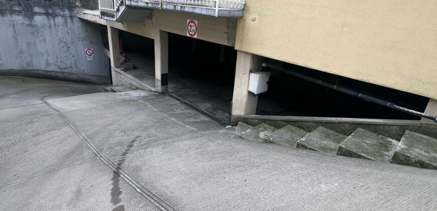 Box singolo San Donato Milanese Via Monte Bianco n.30 (Rif. SDIFN97)