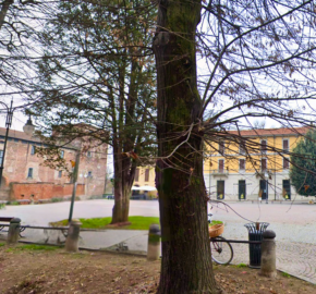 Bilocale piazza Vittoria, Melegnano (Rif. SGM-A4-A5)