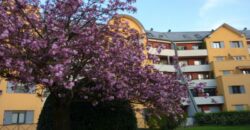 Ufficio – Studio in Vendita (Rif. SGM63)