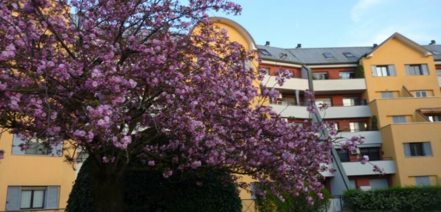 Ufficio – Studio in Vendita (Rif. SGM63)