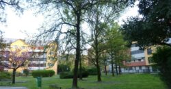 Ufficio – Studio in Vendita (Rif. SGM63)