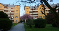 Ufficio – Studio in Vendita (Rif. SGM63)