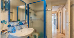 Villa bifamiliare Via Primavera n.7 San Donato Milanese (Rif. SDIFN98)