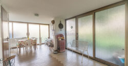 Villa bifamiliare Via Primavera n.7 San Donato Milanese (Rif. SDIFN98)