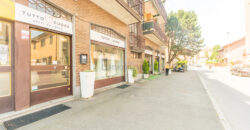 NEGOZIO IN VENDITA IN VIA DEI GIGANTI,16 SAN GIULIANO MILANESE (RIF. SGM86)